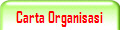 Carta Organisasi