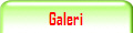 Galeri